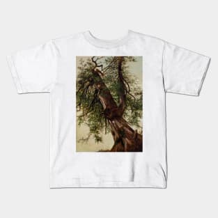 Study of a Cedar by David Johnson Kids T-Shirt